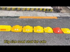 Jalan kuda besar mata kucing